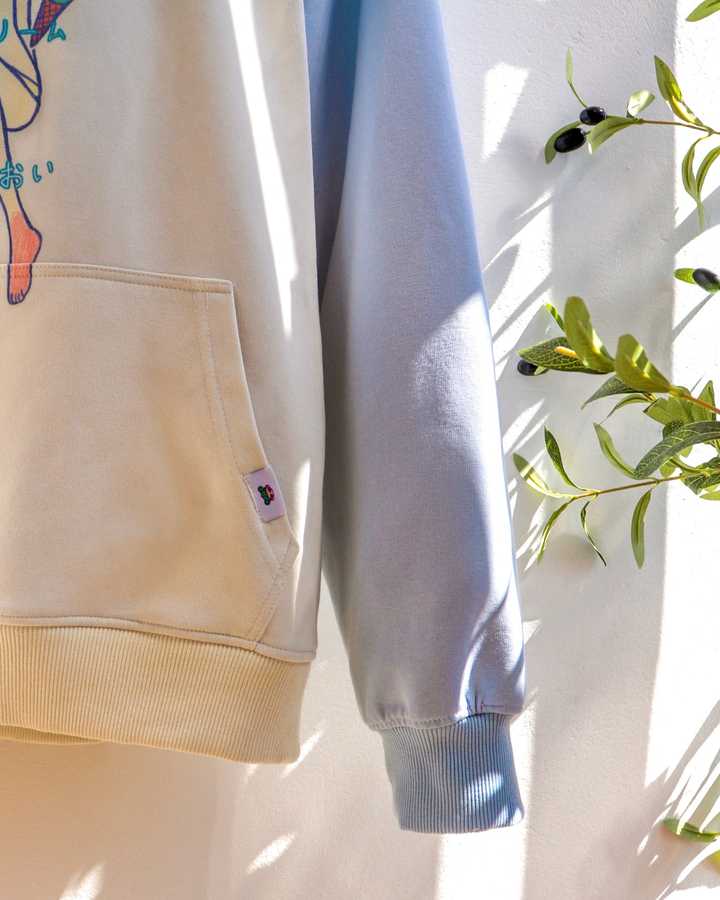 Pastel Hoodie Aoi