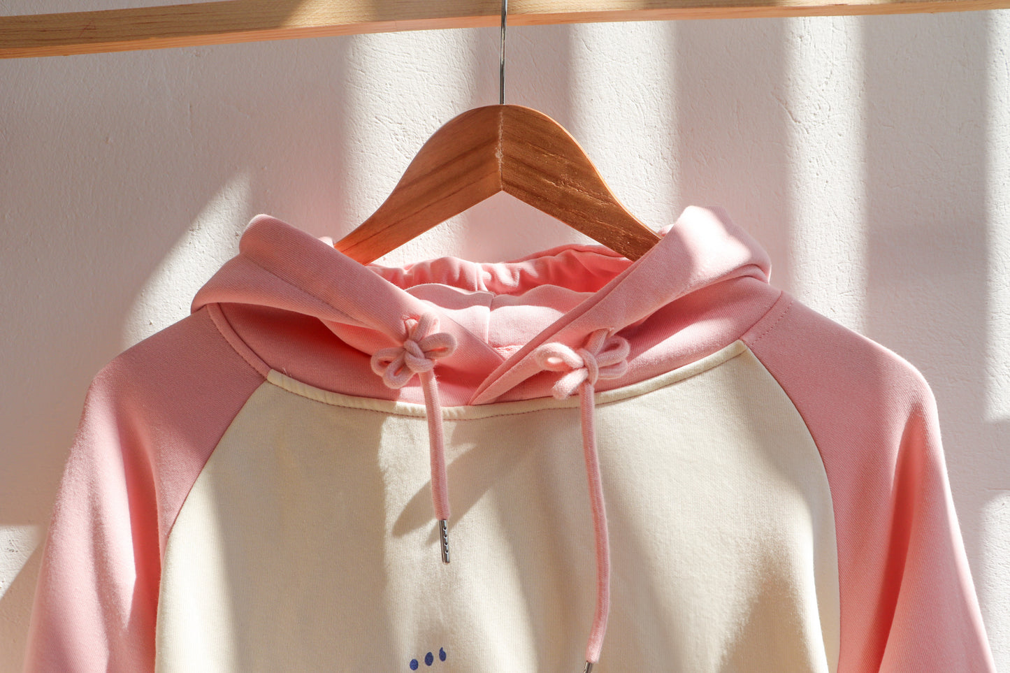 Pastel Hoodie Momoiru